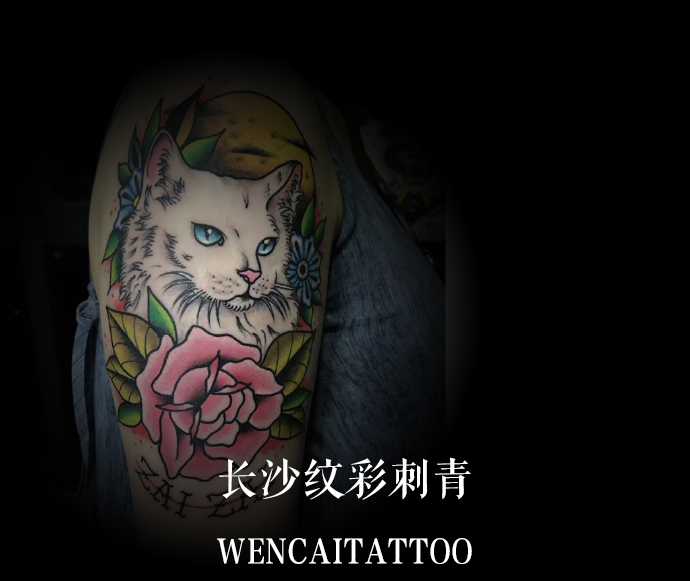 长沙的袁小姐大臂可爱猫咪纹身图案