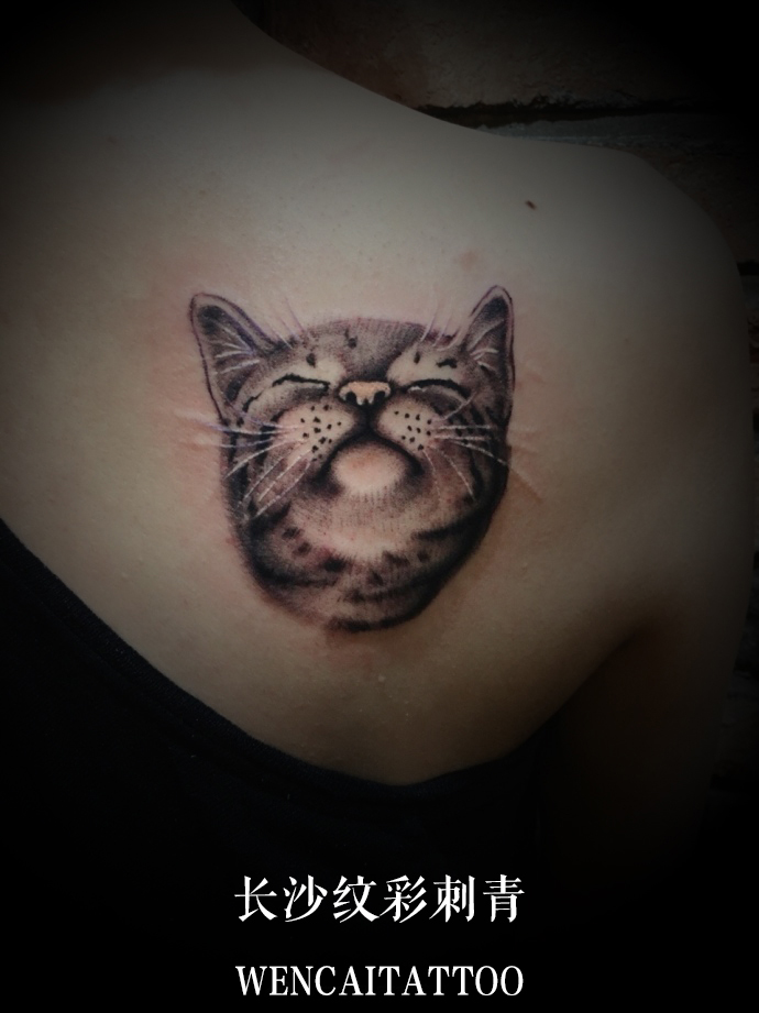 长沙的宇小姐后背呆萌的猫咪纹身图案