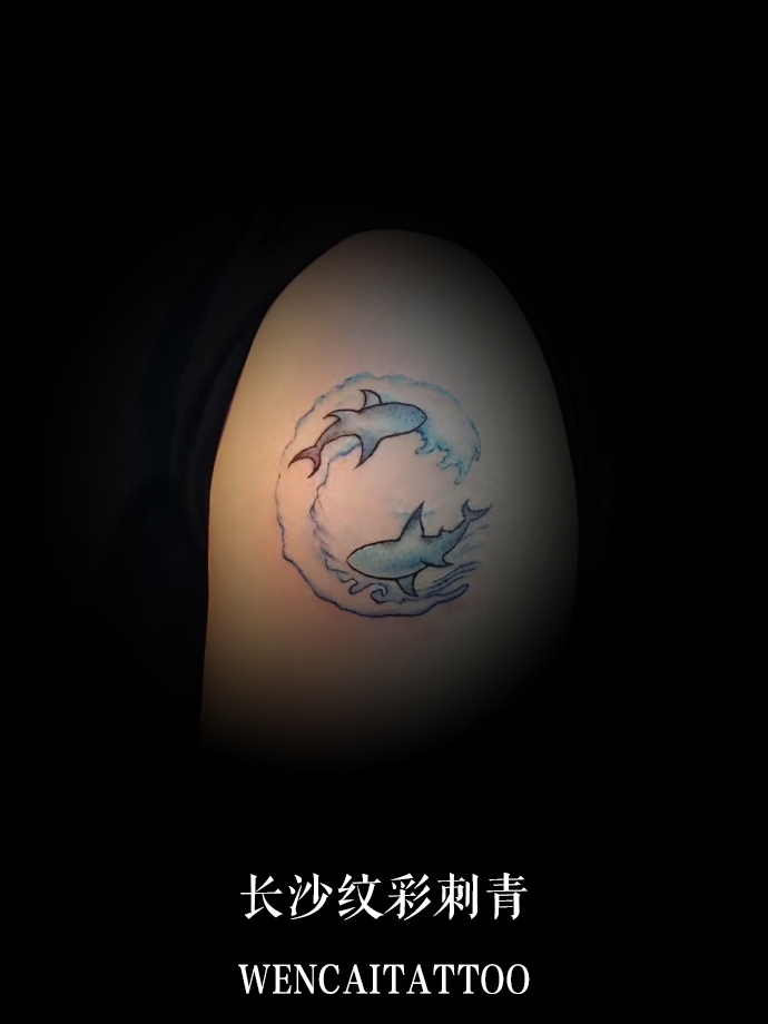 长沙的吴先生大臂双鱼创意纹身图案