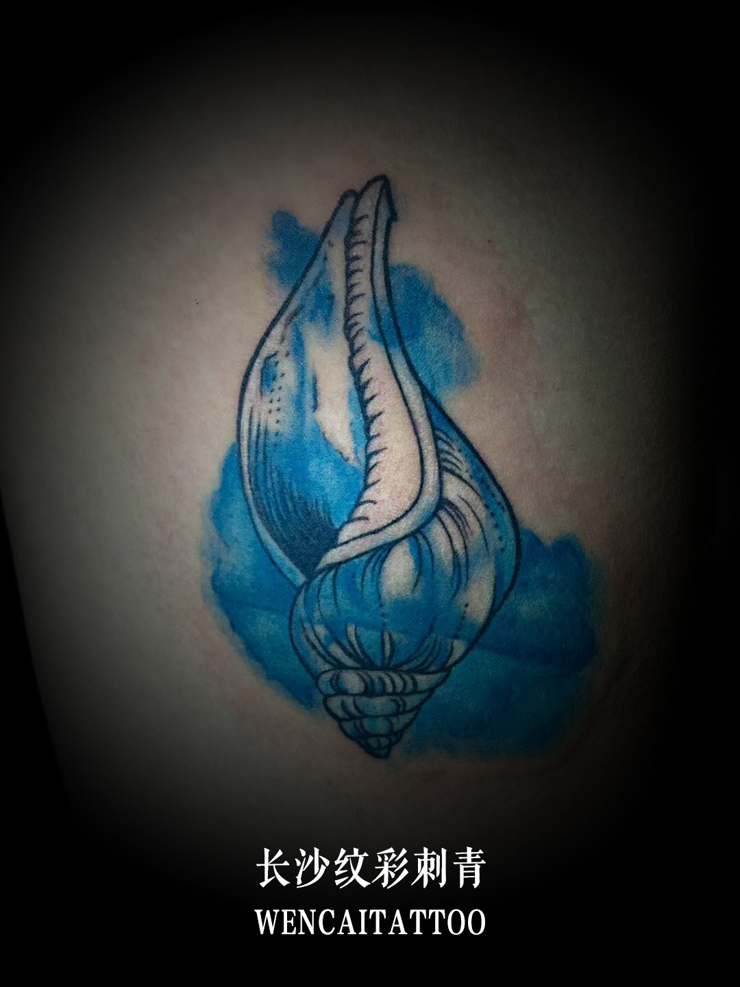 长沙的沈小姐大腿上的海螺纹身图案