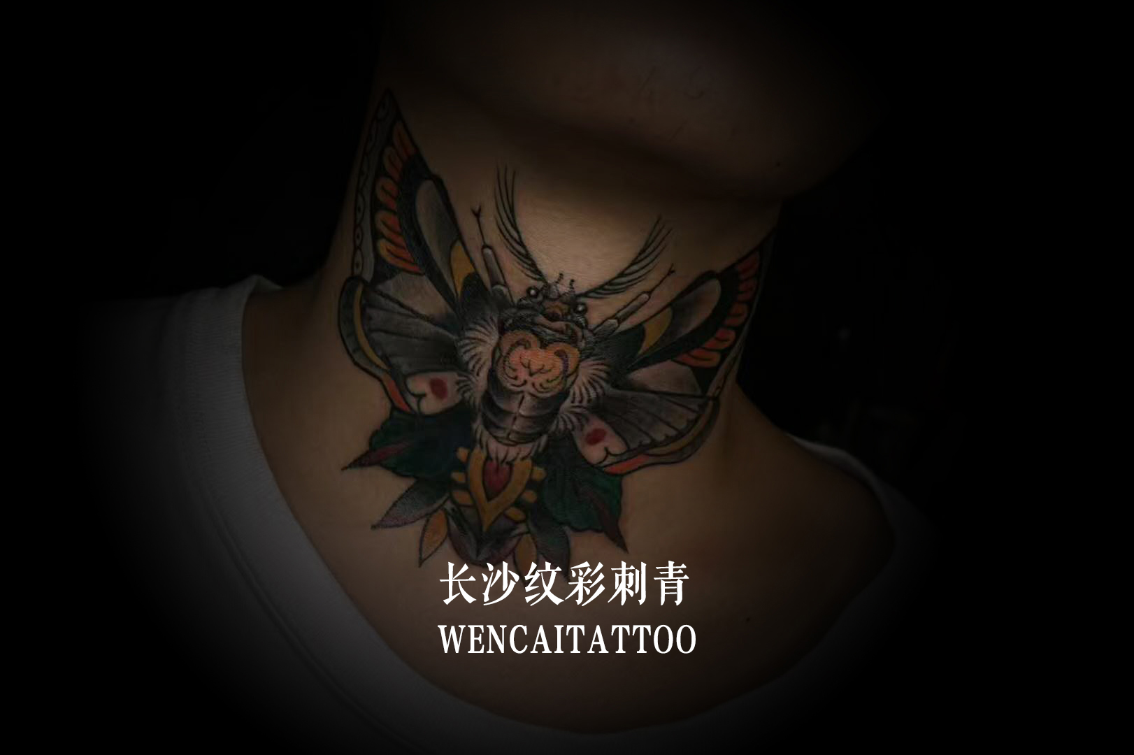 长沙的周先生咽喉位置的彩色蛾子纹身图案